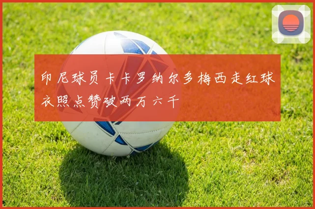 印尼球员卡卡罗纳尔多梅西走红球衣照点赞破两万六千
